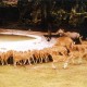 007deer_park 007deer_park