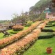 Lush green lawns