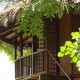 Tree house3 Tree house3