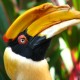 Bird watching activity Bird watching activity