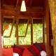 Tree house Tree house