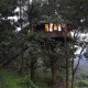 Tree house2 Tree house2