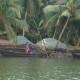 Back-water-1