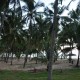 Land-scape