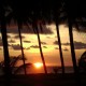 SUN-SET-1