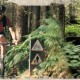 Biking Trail