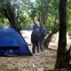 Trekking and Camping