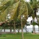 Mandapam Mandapam