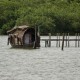 House boat