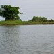 Serene Bank