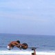 Kalaripayattu