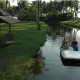 Cruising Cruising