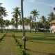 Lawn Lawn