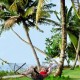 Hammock Hammock