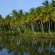 Backwaters Backwaters