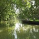 Backwaters Backwaters