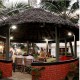 Dine Dine