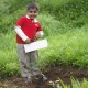 Planting a tree Planting a tree