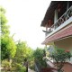 Greenery Greenery