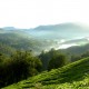 Spice Plantations Spice Plantations