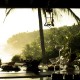 Niraamaya_resort_view Niraamaya_resort_view