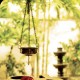 Ayurvedic_spa_resort_niraamaya Ayurvedic_spa_resort_niraamaya
