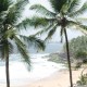 Beach view Beach view