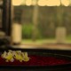 Soothing_effect_spa_niraamaya Soothing_effect_spa_niraamaya