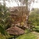 Bamboo Tree House in a serene locale