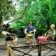 Guests relaxing in sit-out at the Bamboo Tree House