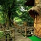 Sit out at Bamboo Tree House