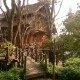 Way to Bamboo Tree House