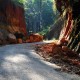 Way of Paradise view