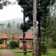Mountain View from the Rooms