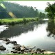 River Kalindi