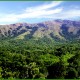 Scenic Beauty