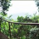 Tree House View from Passage