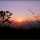 Sunrise View from the Resort