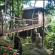 Tree House View