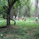 Nature Walk Nature Walk