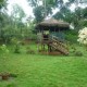 Scenic Greenery Scenic Greenery