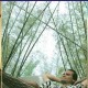 Hammock