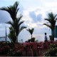 Palm grooves