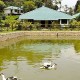 Resort Lake