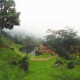 Natural Stream