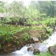 Restaurant amidst Nature