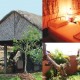 Saivishram-tent Saivishram-tent