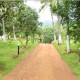 Plantation Plantation