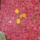 Flowers Flowers