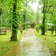 Greenery Greenery